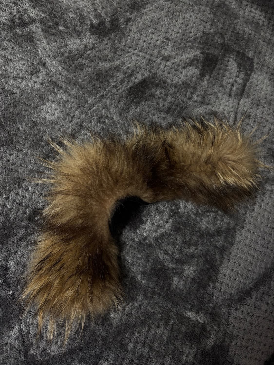 정품 파라점퍼스 코디악 상품이미지5