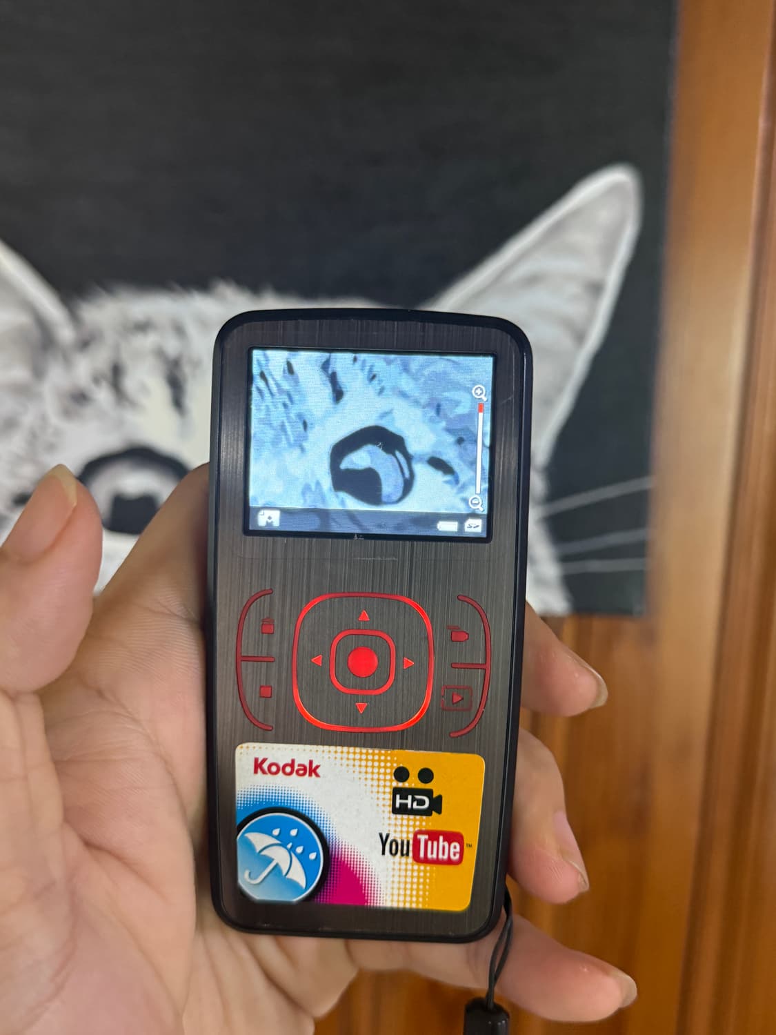 kodak zx1 hd 포켓카메라(캠코더+사진) 상품이미지1