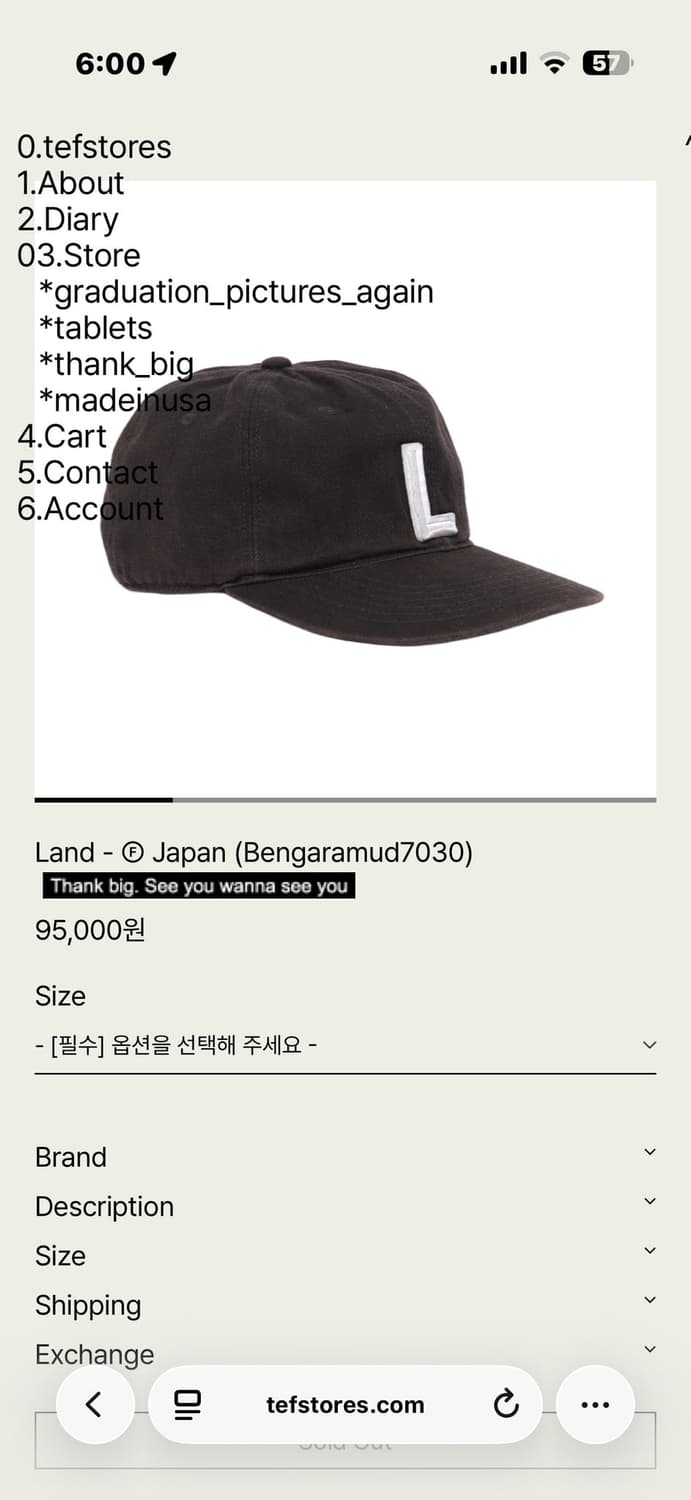 테프스토어즈 L 캡 라지 상품이미지1