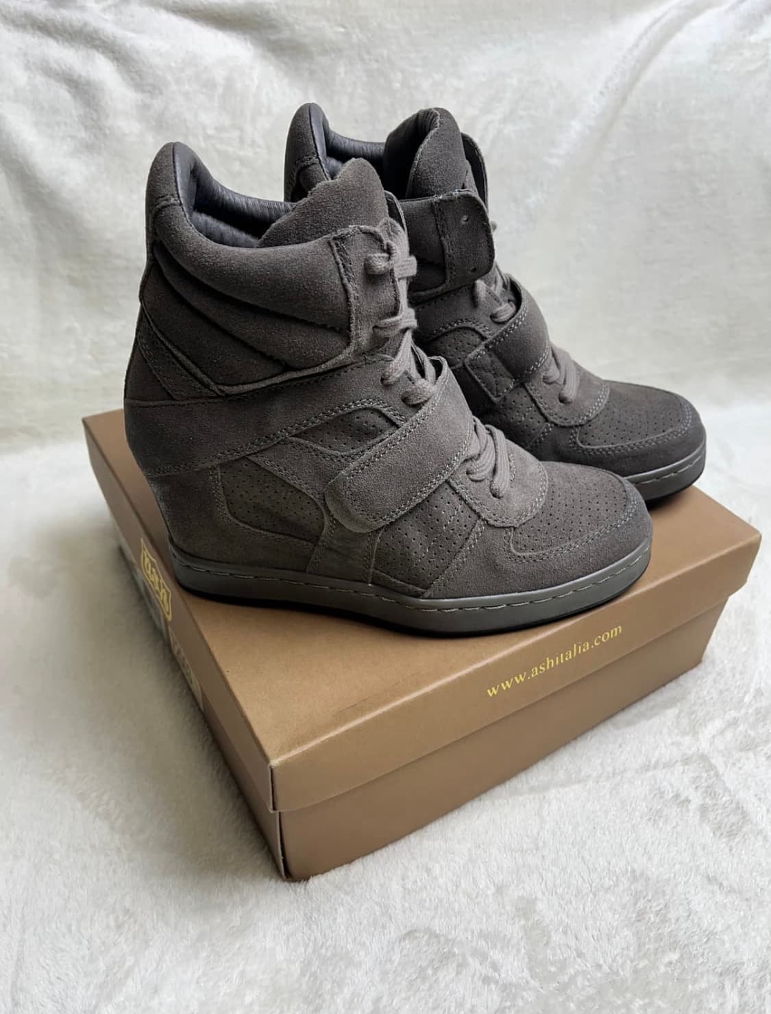 [39] 아쉬 웨지힐 스니커즈 250 상품이미지2