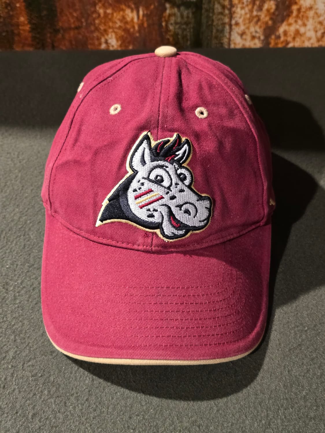 47 Brand FSU Seminoles College Hat 상품이미지2