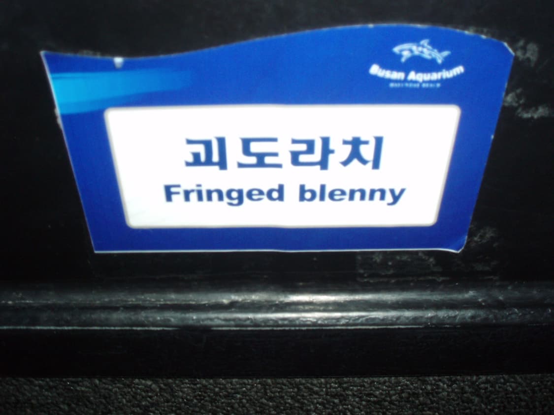 올림푸스 뮤 7010 디카 (빈티지 카메라) 상품이미지8