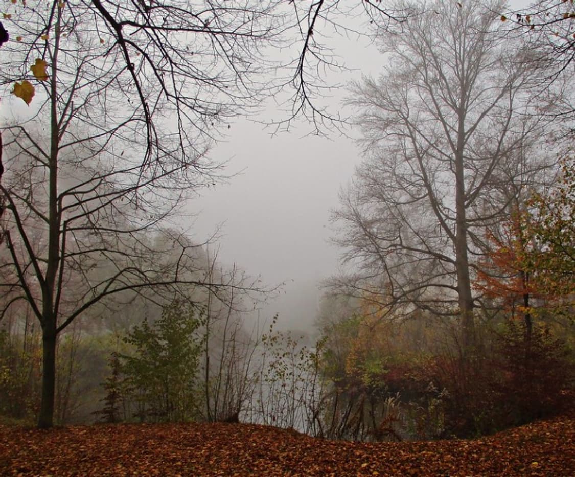 📸✨ 캐논 익서스 185 (IXUS 185) 감성 디카 판매합니다 ✨ 상품이미지9