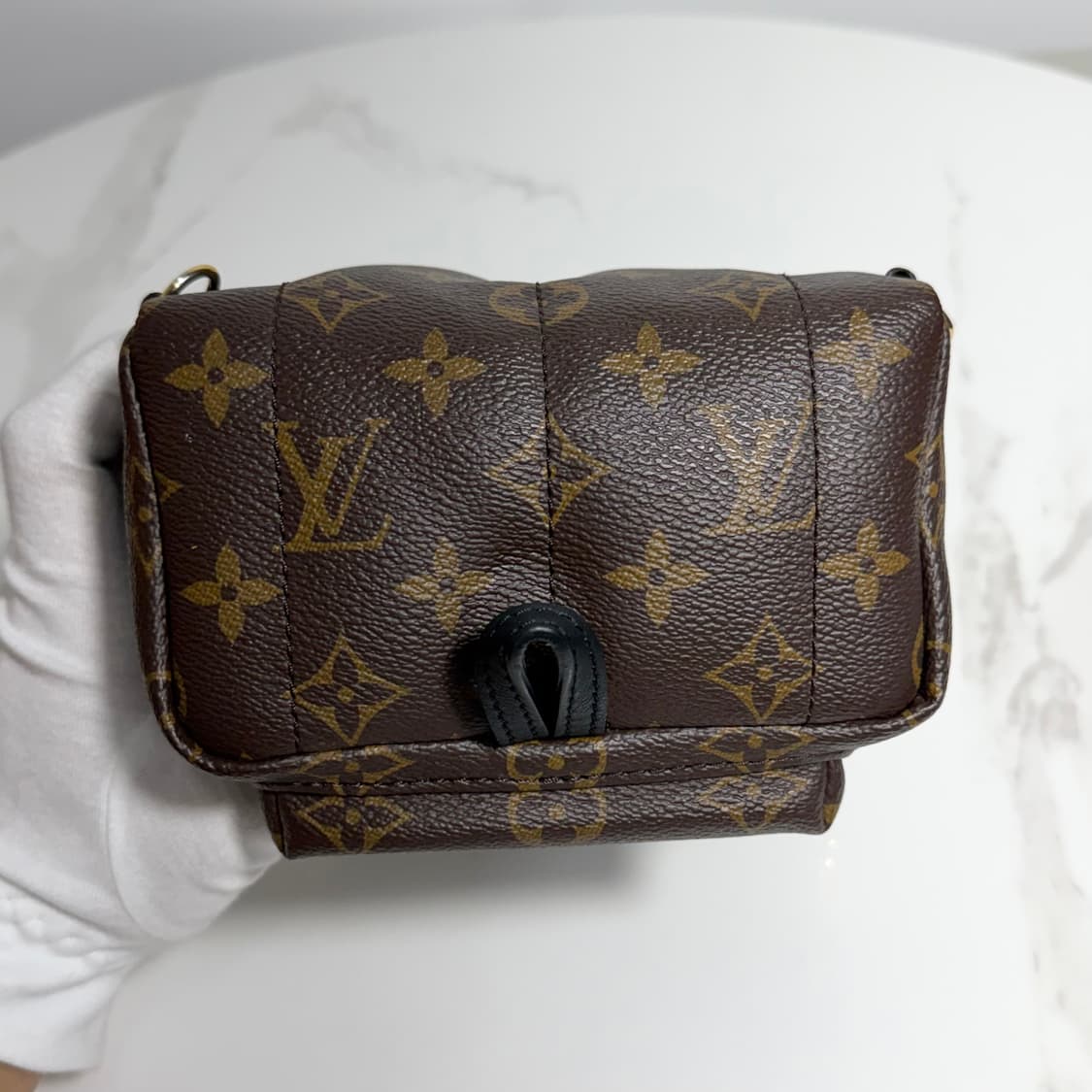 루이비통 팜스프링스 미니 상품이미지5