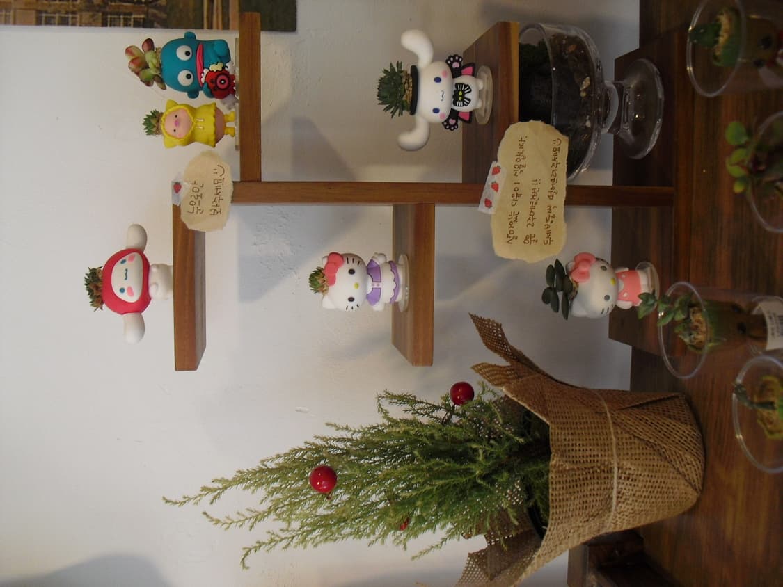 [풀박] 카시오 엑슬림 z1 (실버) 상품이미지9