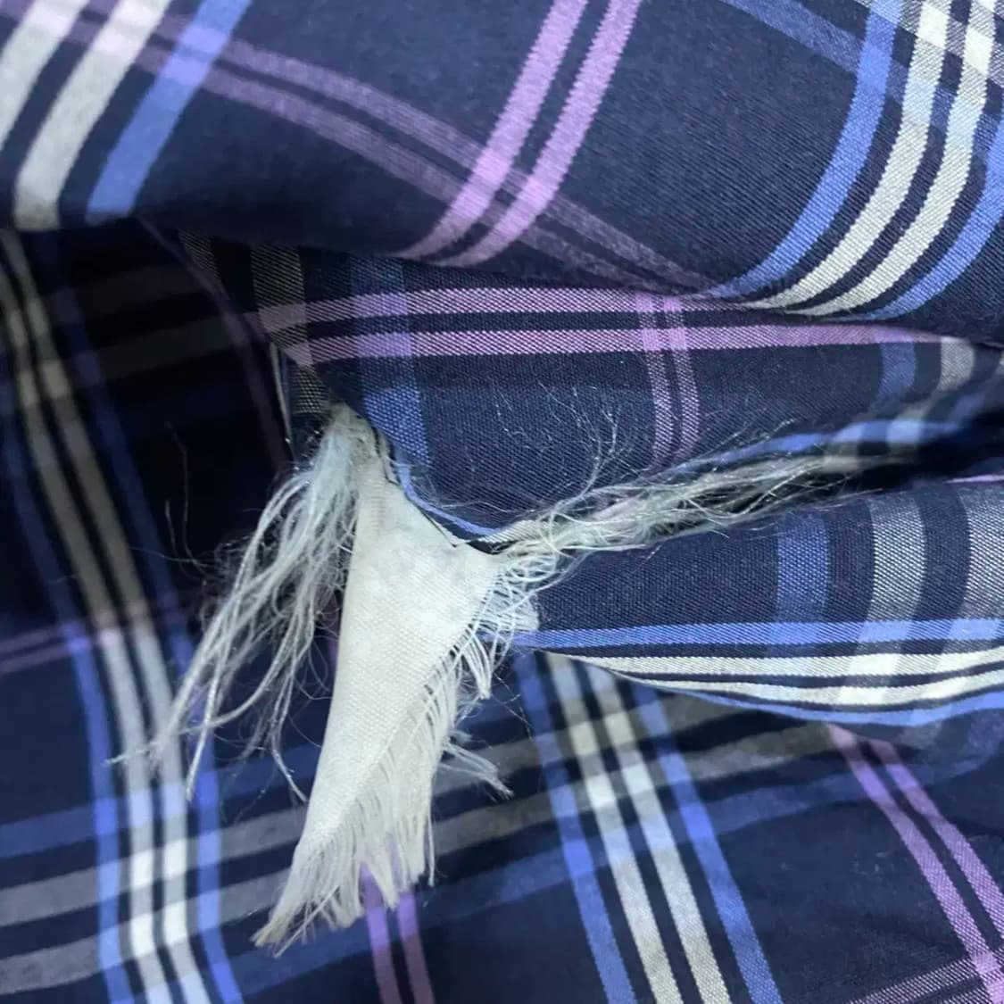 빈폴 셔츠 체크 105 상품이미지4