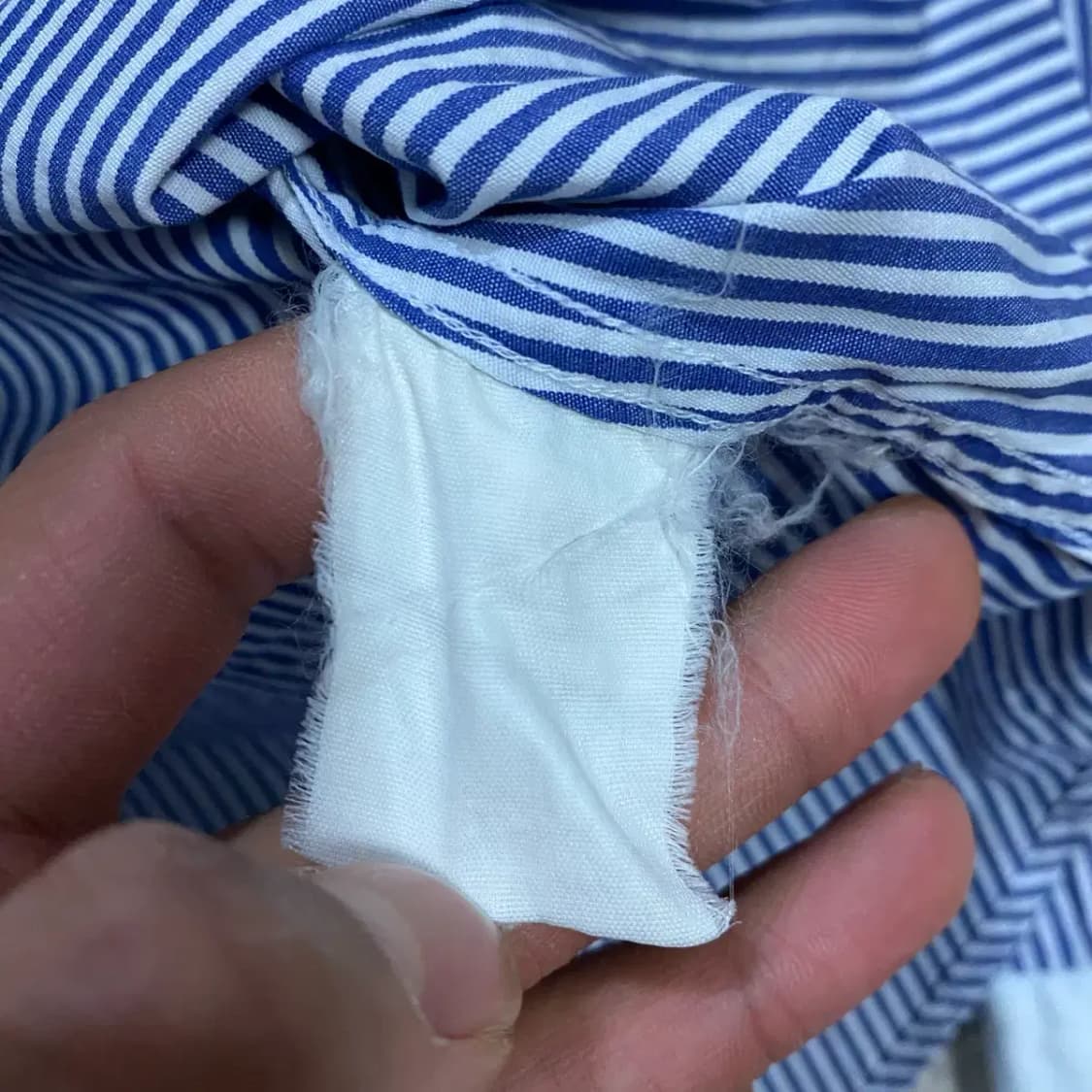 폴로 셔츠 스트라이프 여성 6 상품이미지4