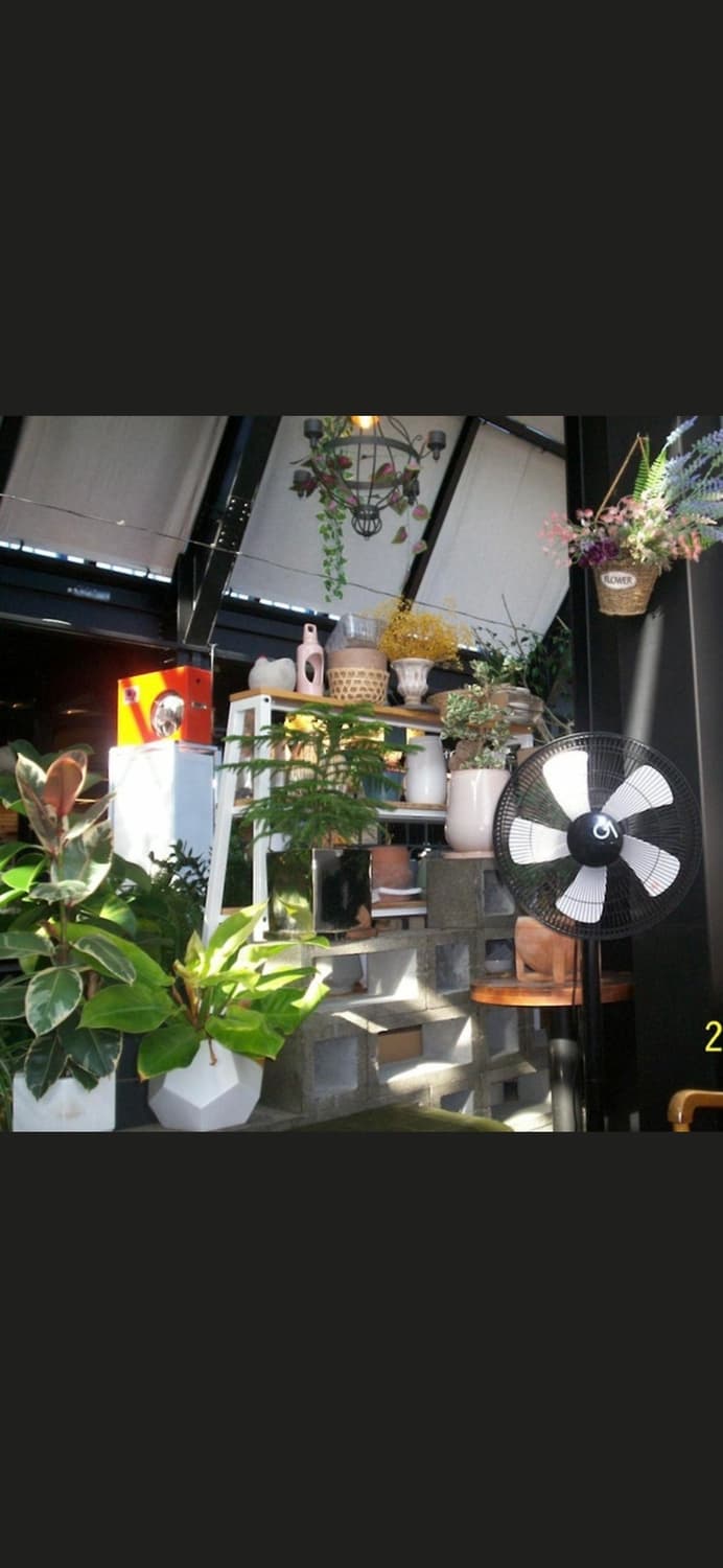 Kodak Easy Share C310 Silver 상품이미지8