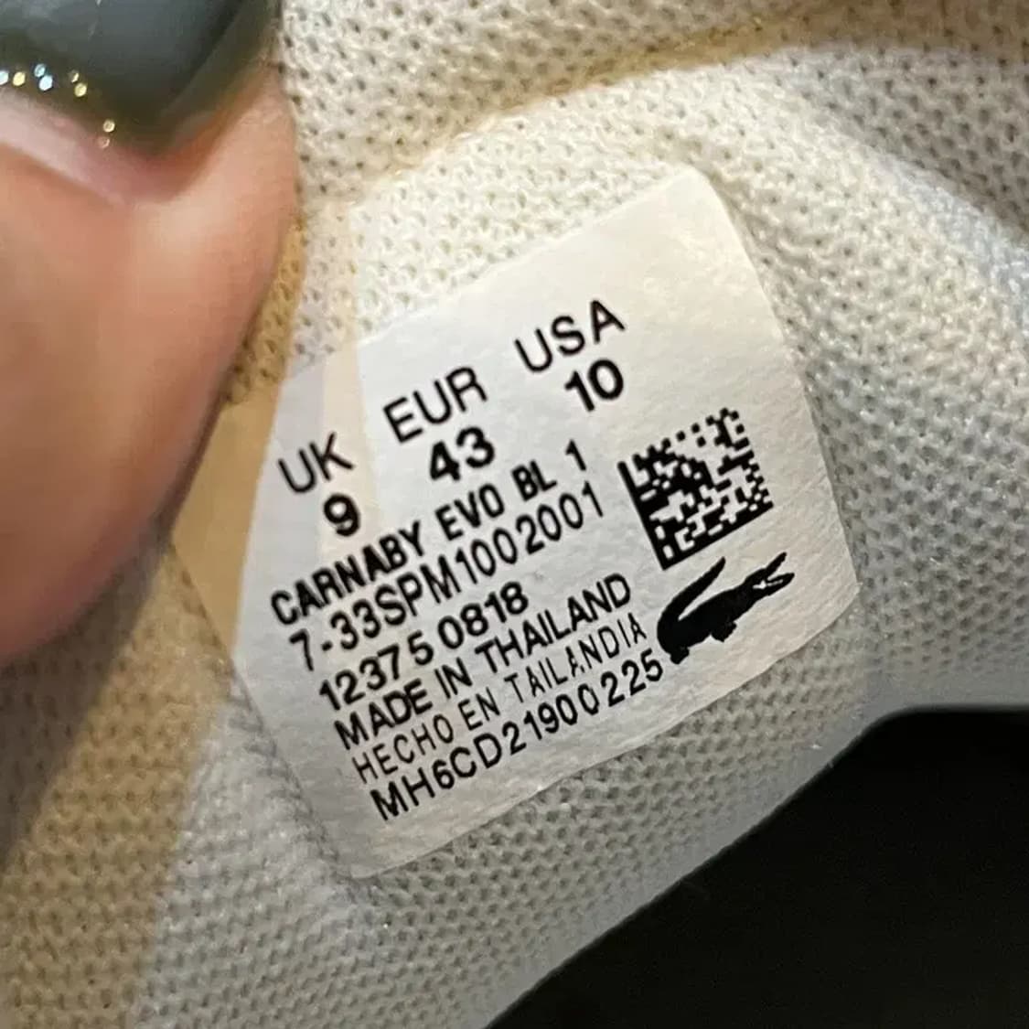라코스테 카나비 에보 스니커즈 운동화 UK9 G04149 상품이미지5