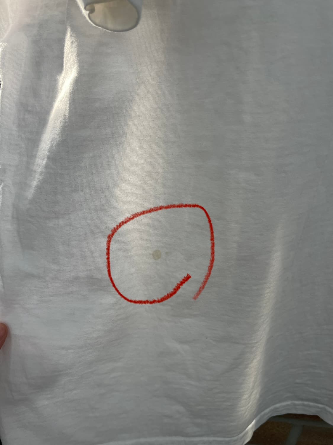 supreme 슈프림 핀라인 반팔 티셔츠(24SS) 상품이미지10