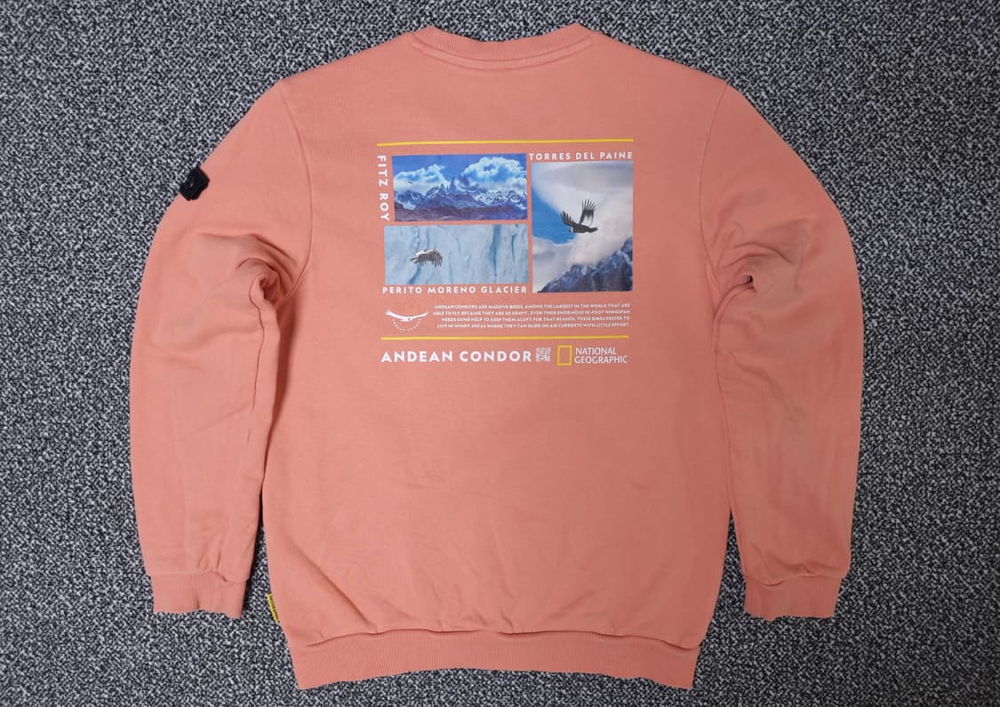 [무료배송][160]내셔널지오그래픽 키즈 맨투맨 긴팔티 상품이미지2