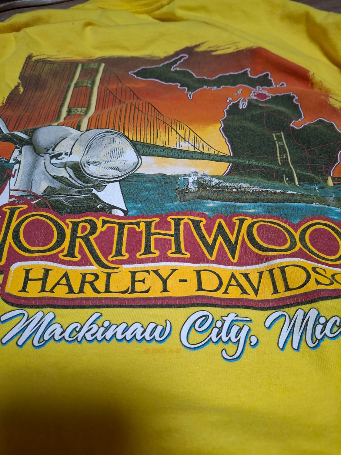 00s 할리데이비슨 헤인즈비피티 플레임 패턴 롱슬리브 티셔츠 usa 상품이미지8