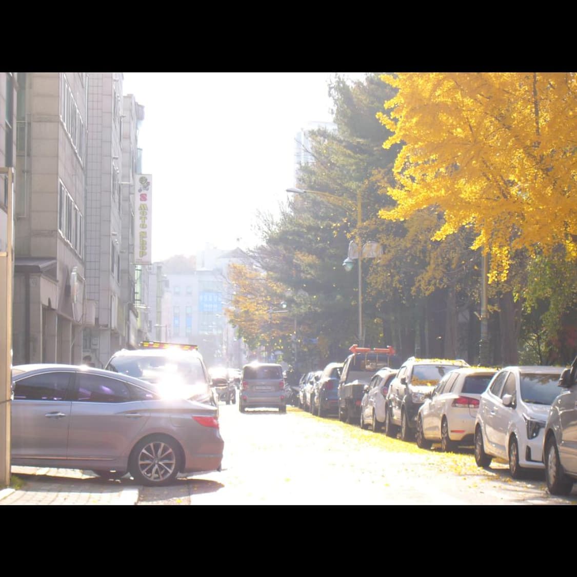 파나소닉 루믹스 FX5 실버 메탈릭✨빈티지 디카 디지털카메라 상품이미지7