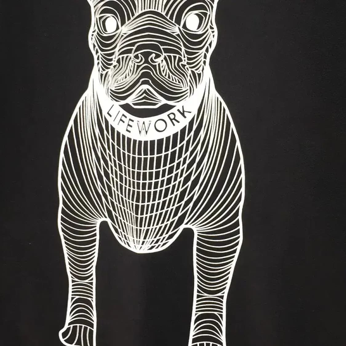 라이프워크 라독 빅로고 맨투맨 블랙 M 2200239 상품이미지5