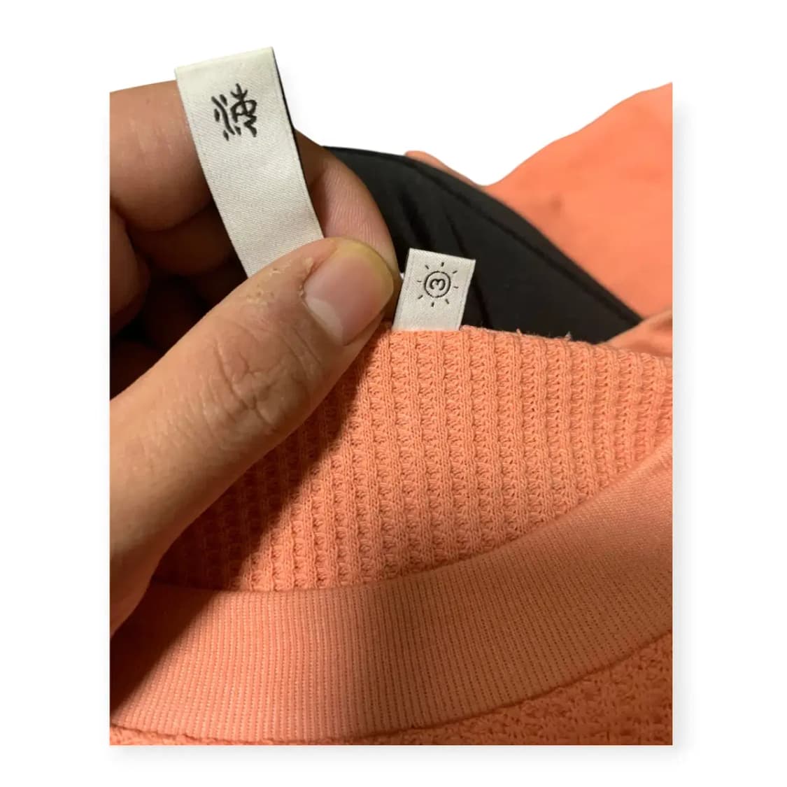 3size)Seasun 시선 와플 니트 긴팔 티셔츠 코랄 상품이미지4