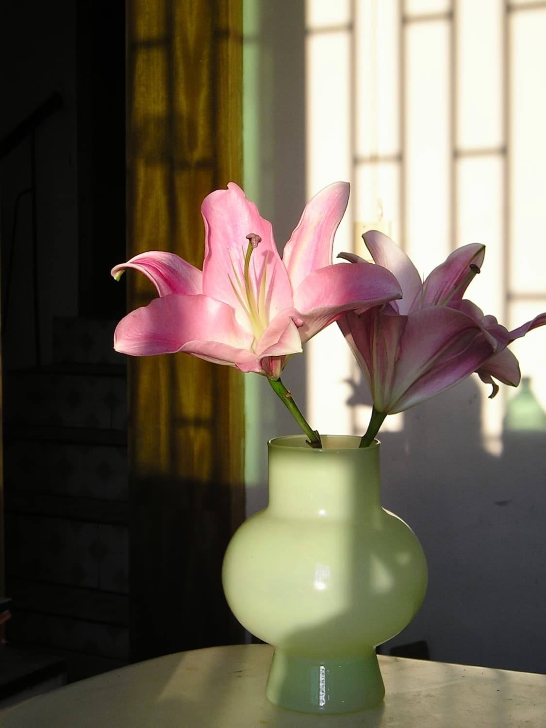 Olympus FE-350 상품이미지4