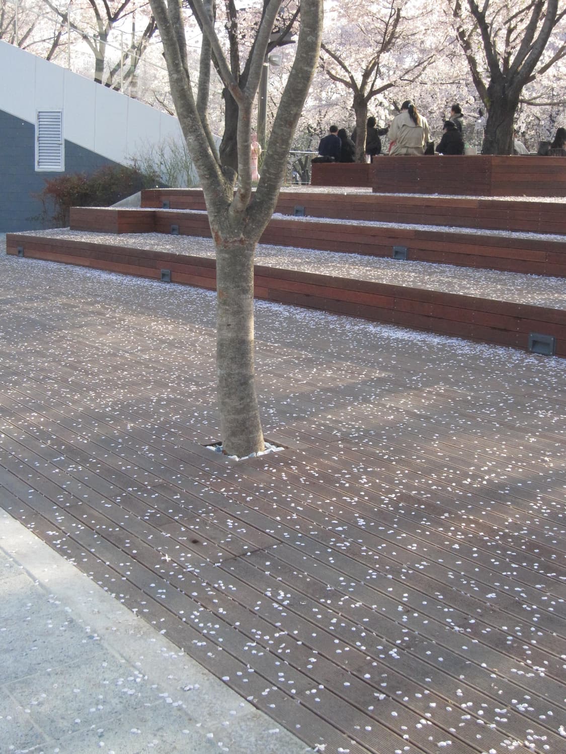 캐논 익서스 870is 디카 판매 상품이미지8