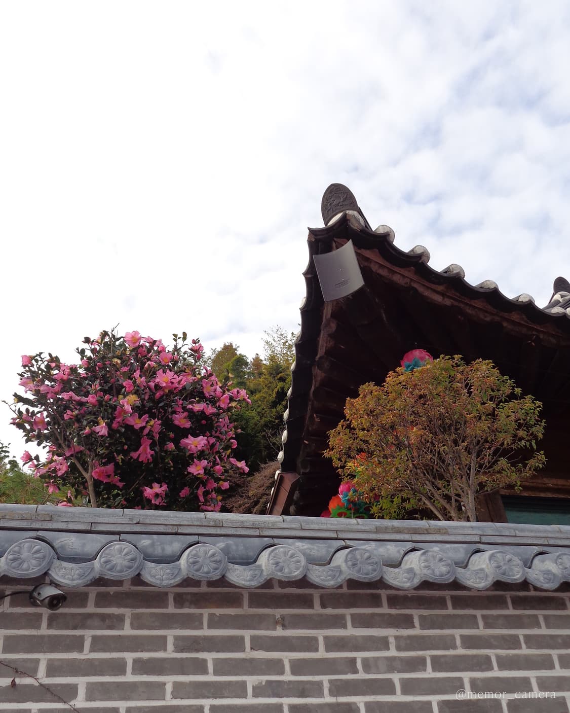 인물사진추천/뉴트럴톤작례✨SONY DSC-W730 소니 디카 카메라 상품이미지7