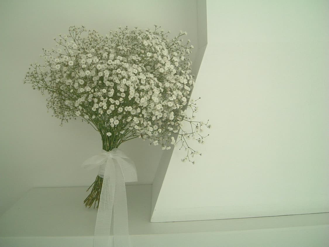 입문자용,여행용 추천 후지필름 f401 상품이미지5