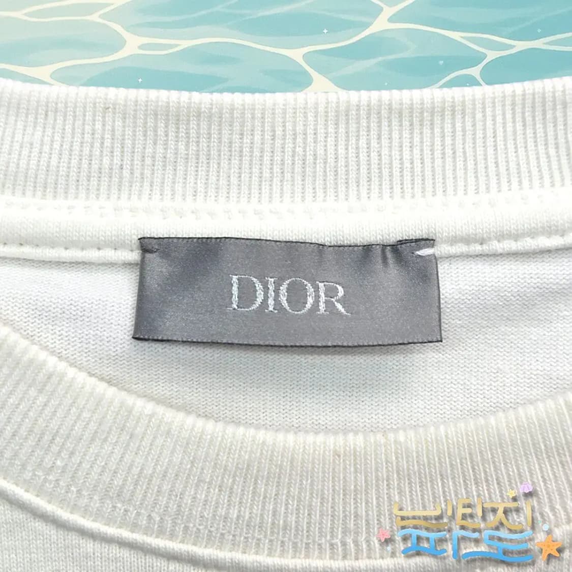M DIOR 19SS 디올 X 소라야마 한정판 티셔츠 상품이미지4