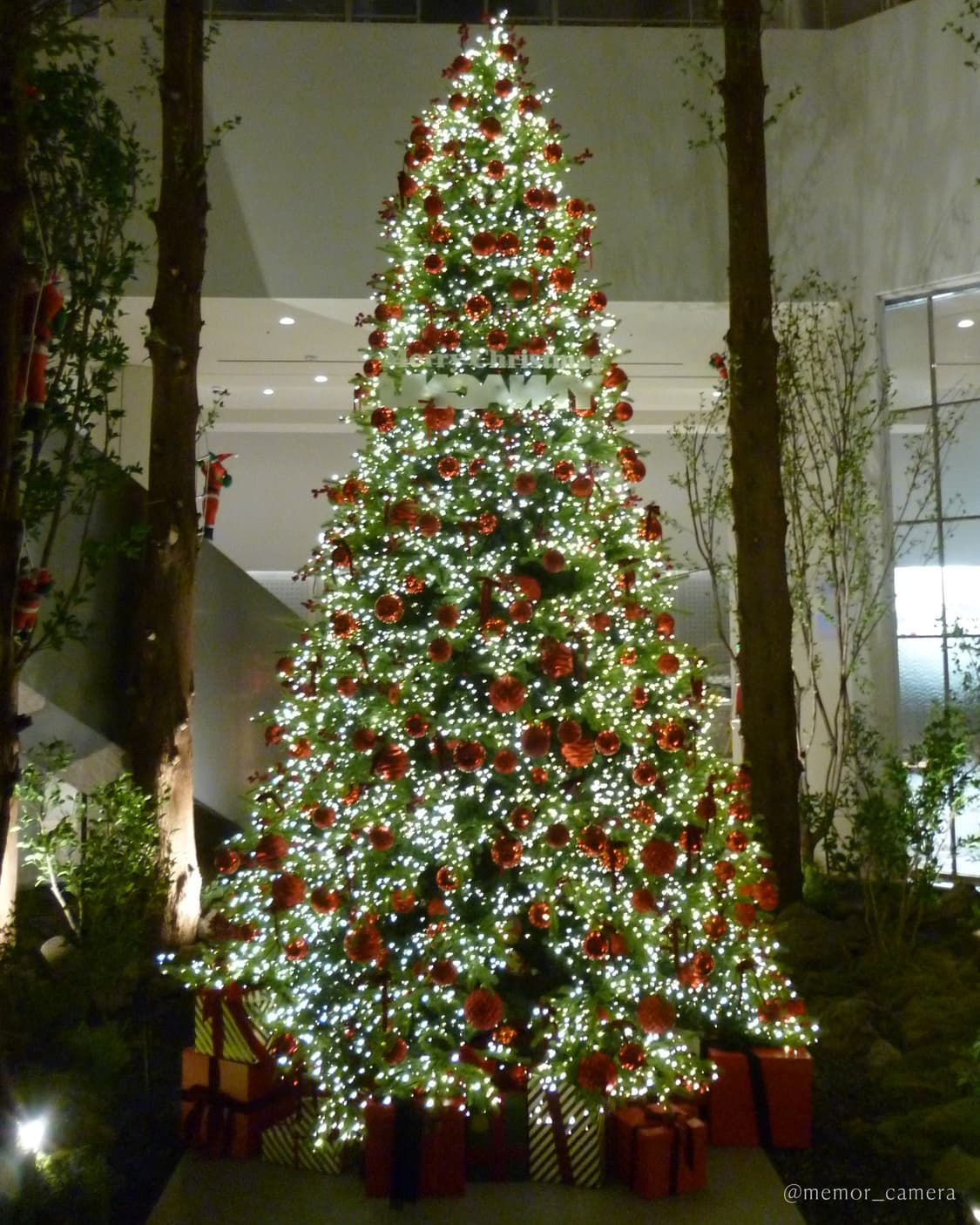 인기모델/츄님 사용🩷Panasonic Lumix S1 파나소닉 디카 상품이미지8