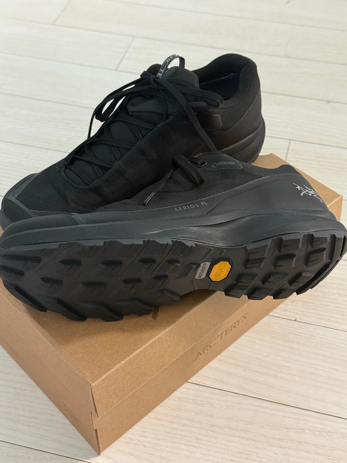 아크테릭스 에어리어스fl 250 상품이미지2