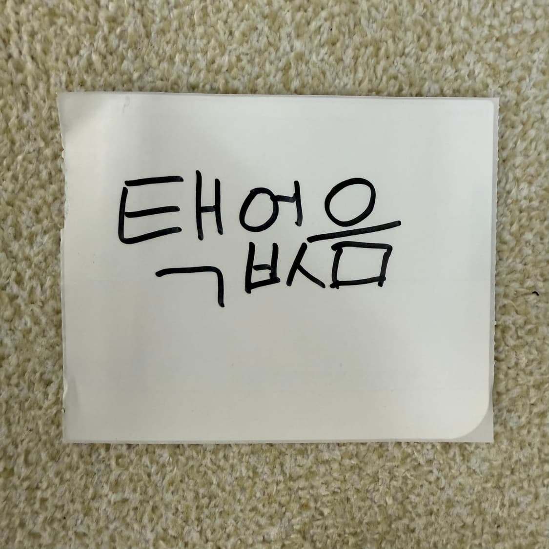 [M] NFL 올드스쿨 스타터 그린베이페커스 바람막이 자켓 0108T1 상품이미지4