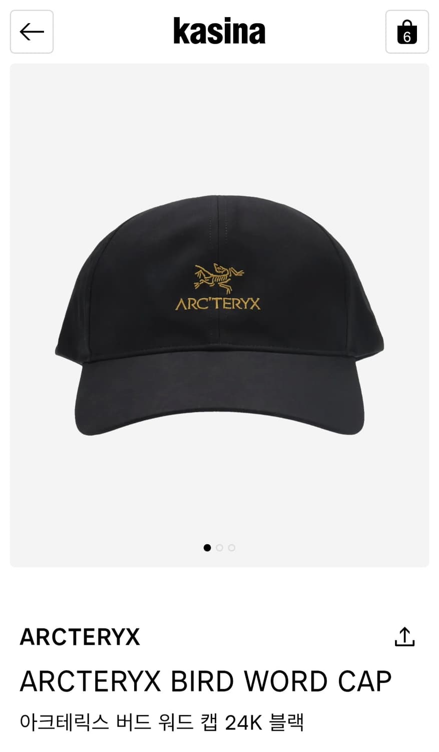 아크테릭스 버드 워드 캡 24K 블랙 상품이미지1