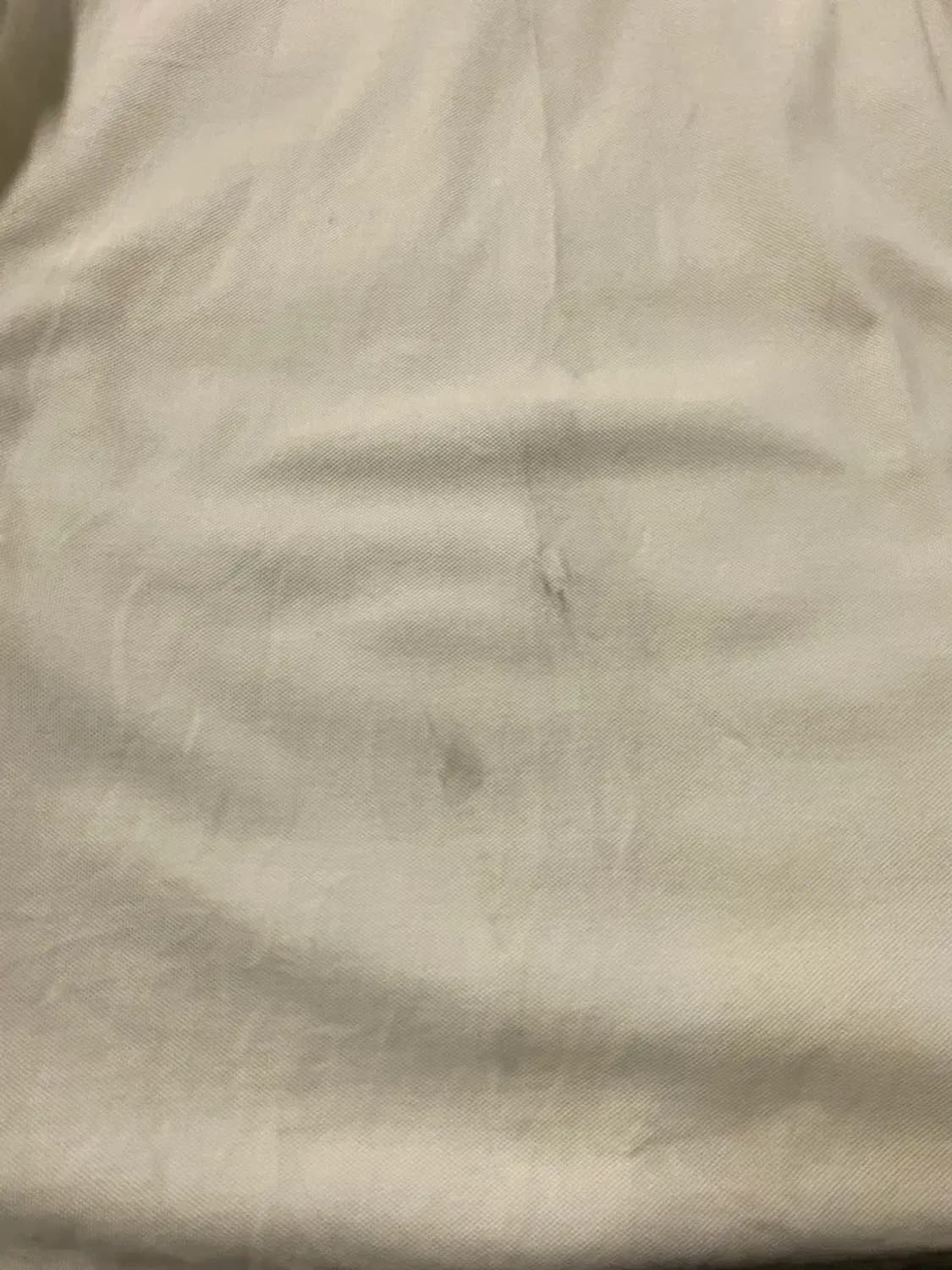 버버리 카라 티셔츠 (B0187) 상품이미지5