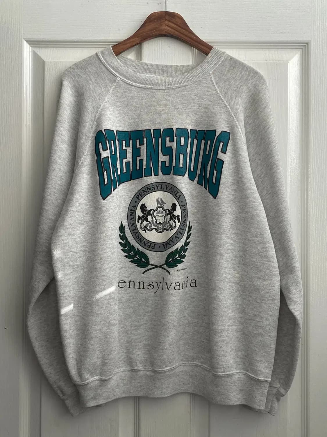 Hanes Activewear 맨투맨 (Man M) / [12048] 상품이미지1