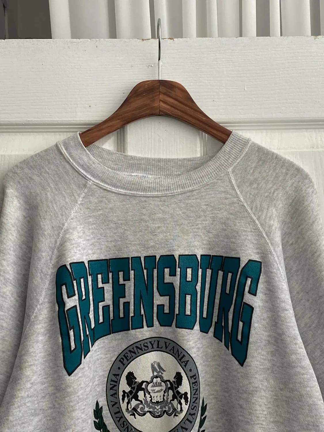 Hanes Activewear 맨투맨 (Man M) / [12048] 상품이미지2