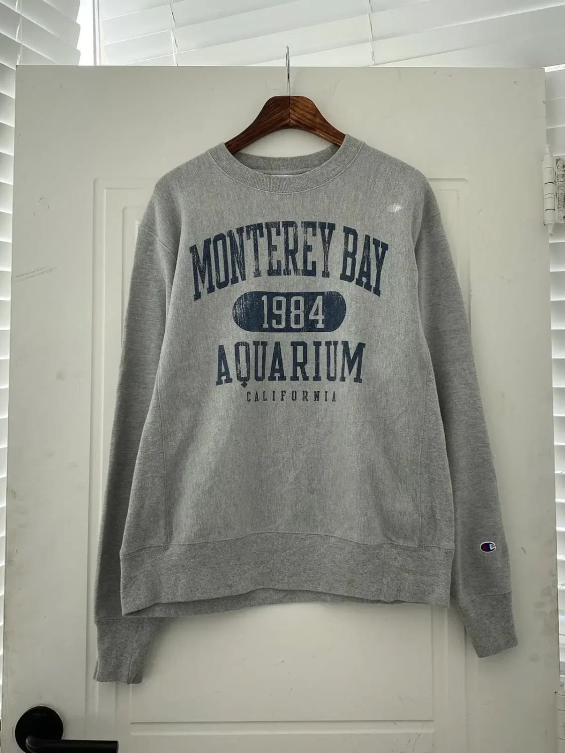 챔피온 리버스위브 맨투맨 (Man XL) 12414 상품이미지3