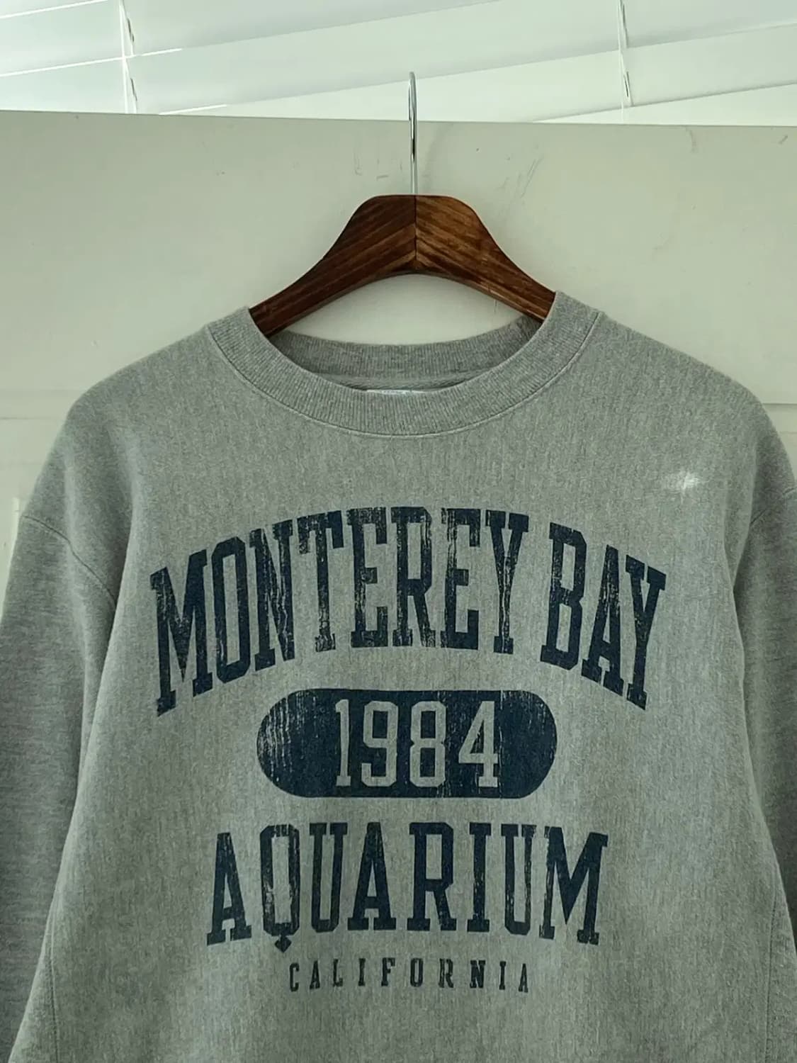 챔피온 리버스위브 맨투맨 (Man XL) 12414 상품이미지5