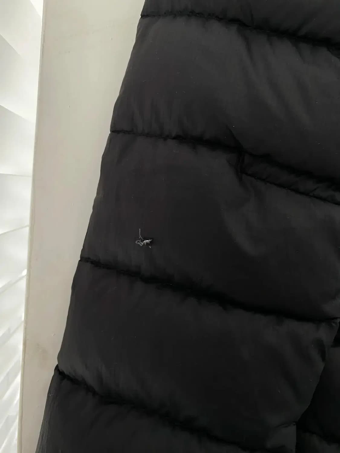 파타고니아 패딩 (Woman S) 13098 상품이미지8