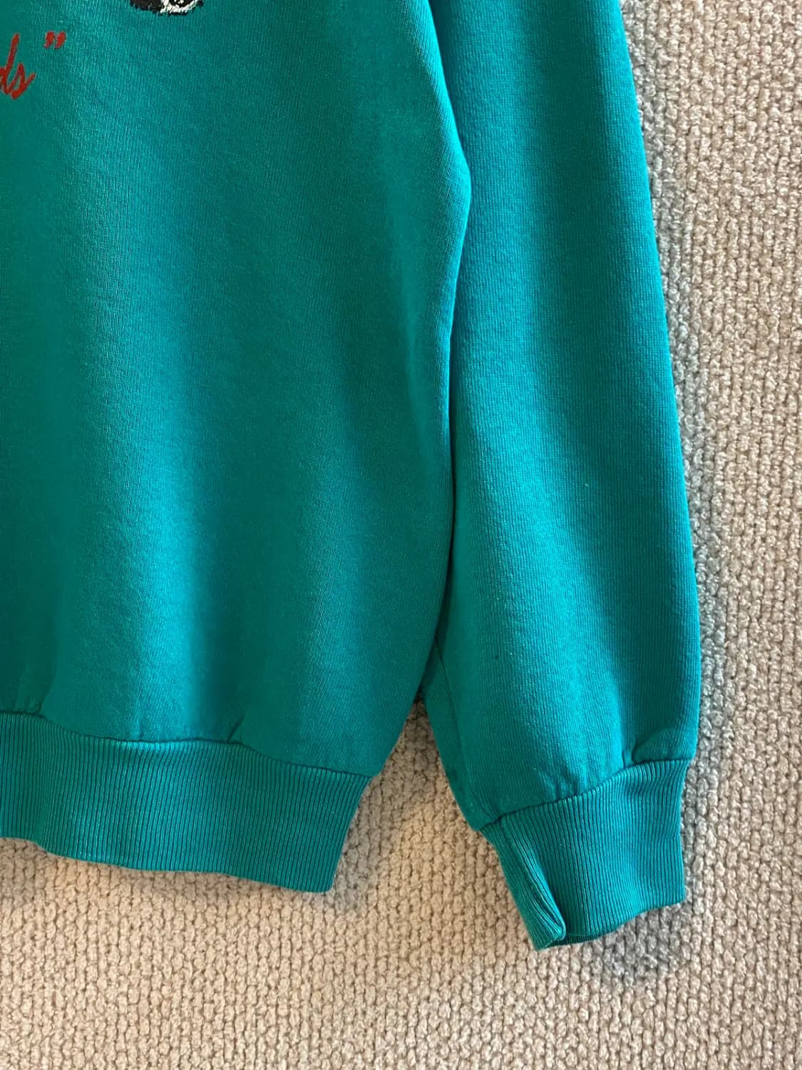 빈티지 프린팅 기모 스웻셔츠 (Woman XL) B1749 상품이미지4