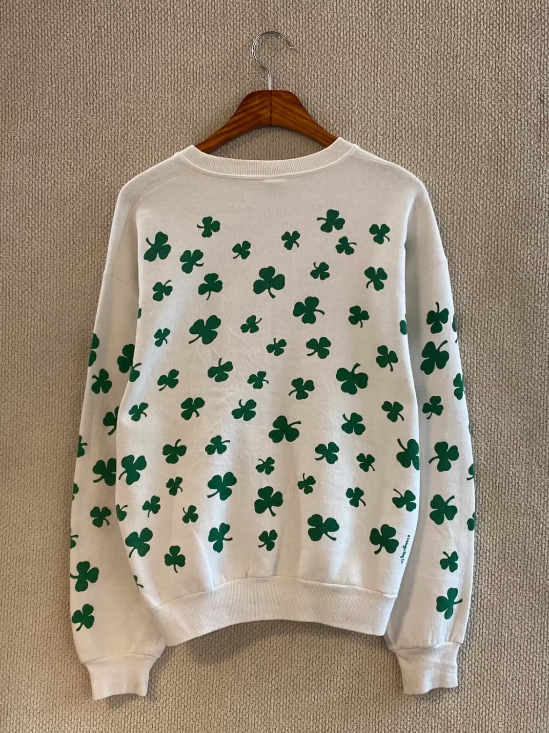 저지스 USA 스웻셔츠 (Man M) B1755 상품이미지5