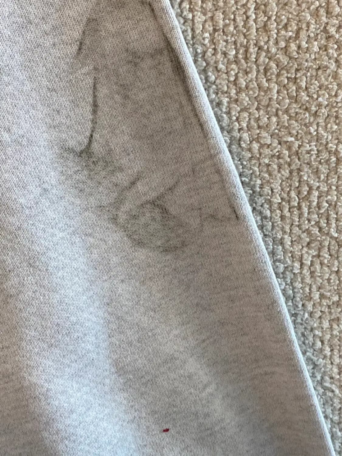 챔피온 스웻셔츠 (Man L) B1819 상품이미지7