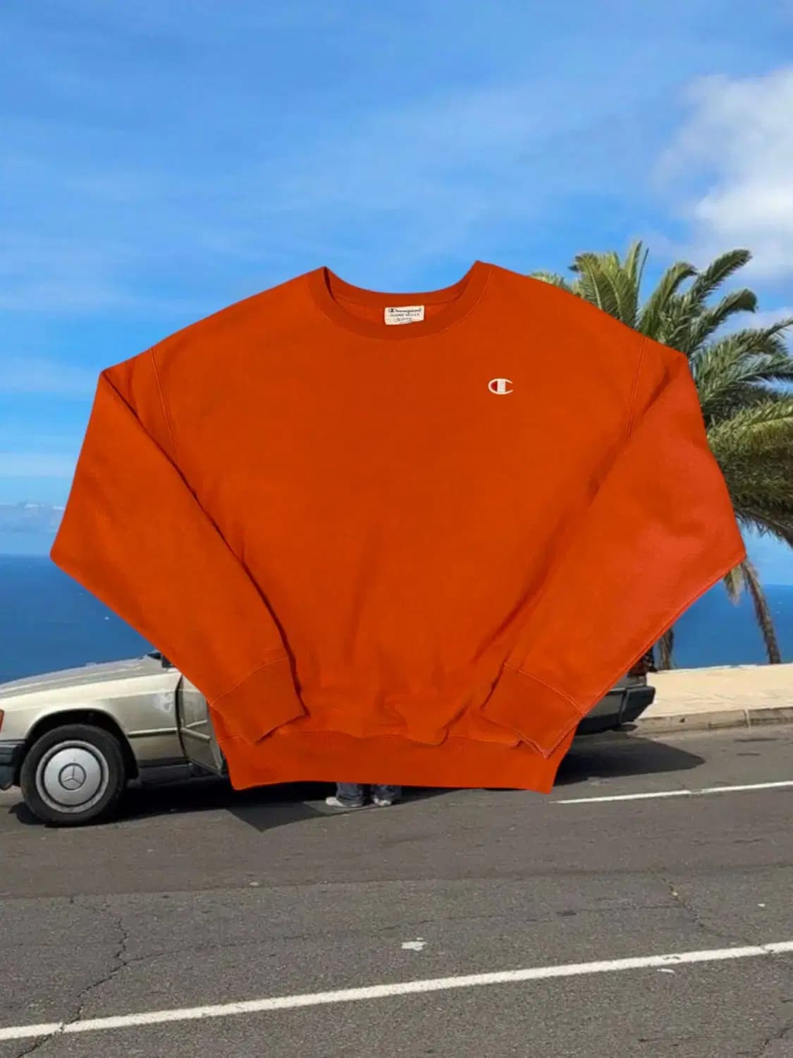 챔피온 리버스위브 맨투맨 (Woman L) AA0071 상품이미지1