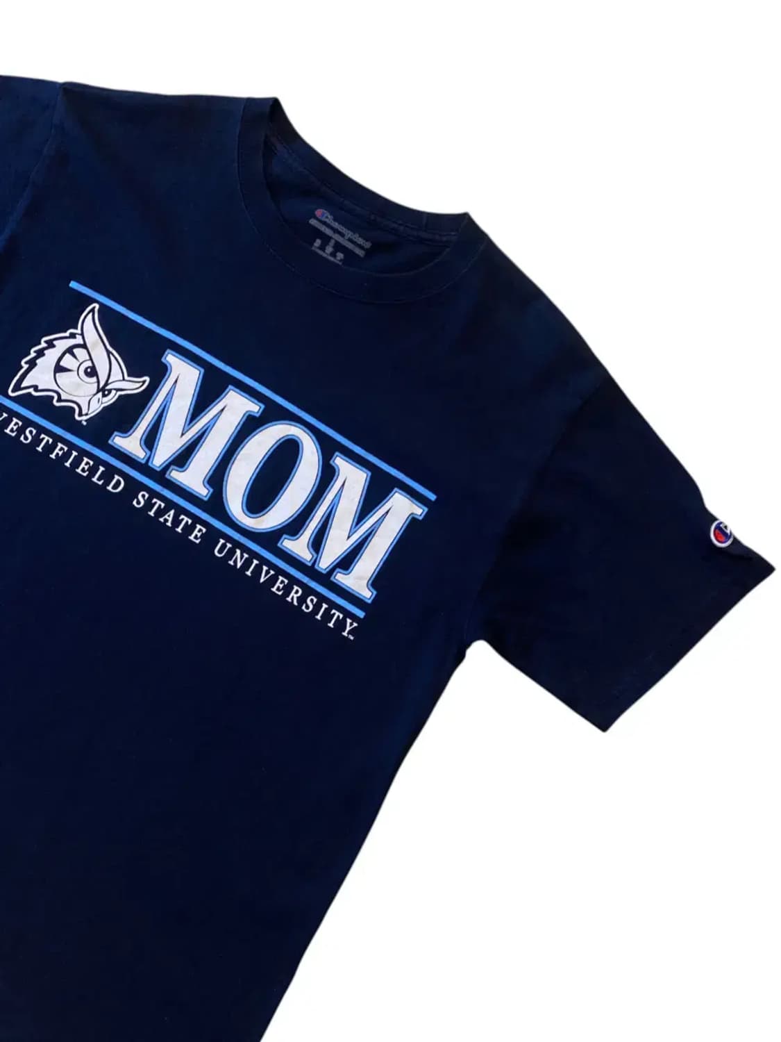 챔피온 반팔 티셔츠 (Woman S) AA0258 상품이미지3