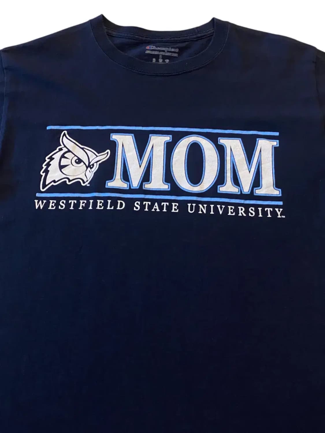 챔피온 반팔 티셔츠 (Woman S) AA0258 상품이미지4