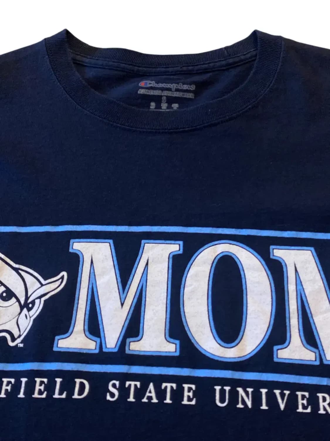 챔피온 반팔 티셔츠 (Woman S) AA0258 상품이미지5