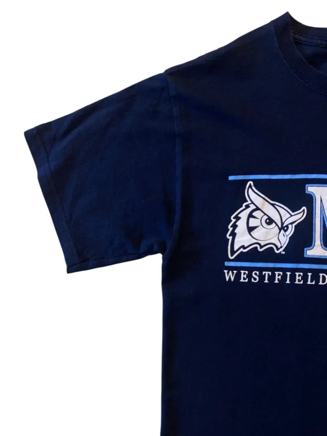 챔피온 반팔 티셔츠 (Woman S) AA0258 상품이미지6