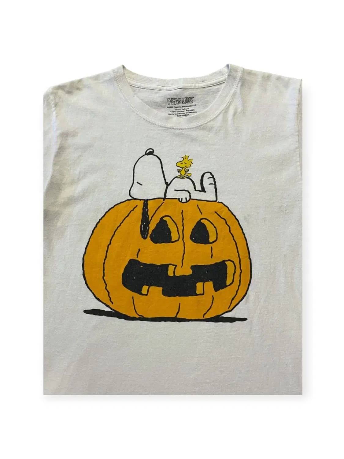 스누피 반팔 티셔츠 (Woman S) AA0271 상품이미지4