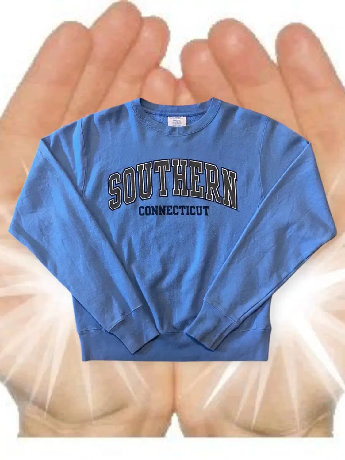 챔피온 스웻셔츠 (Man S) AA0385 상품이미지1