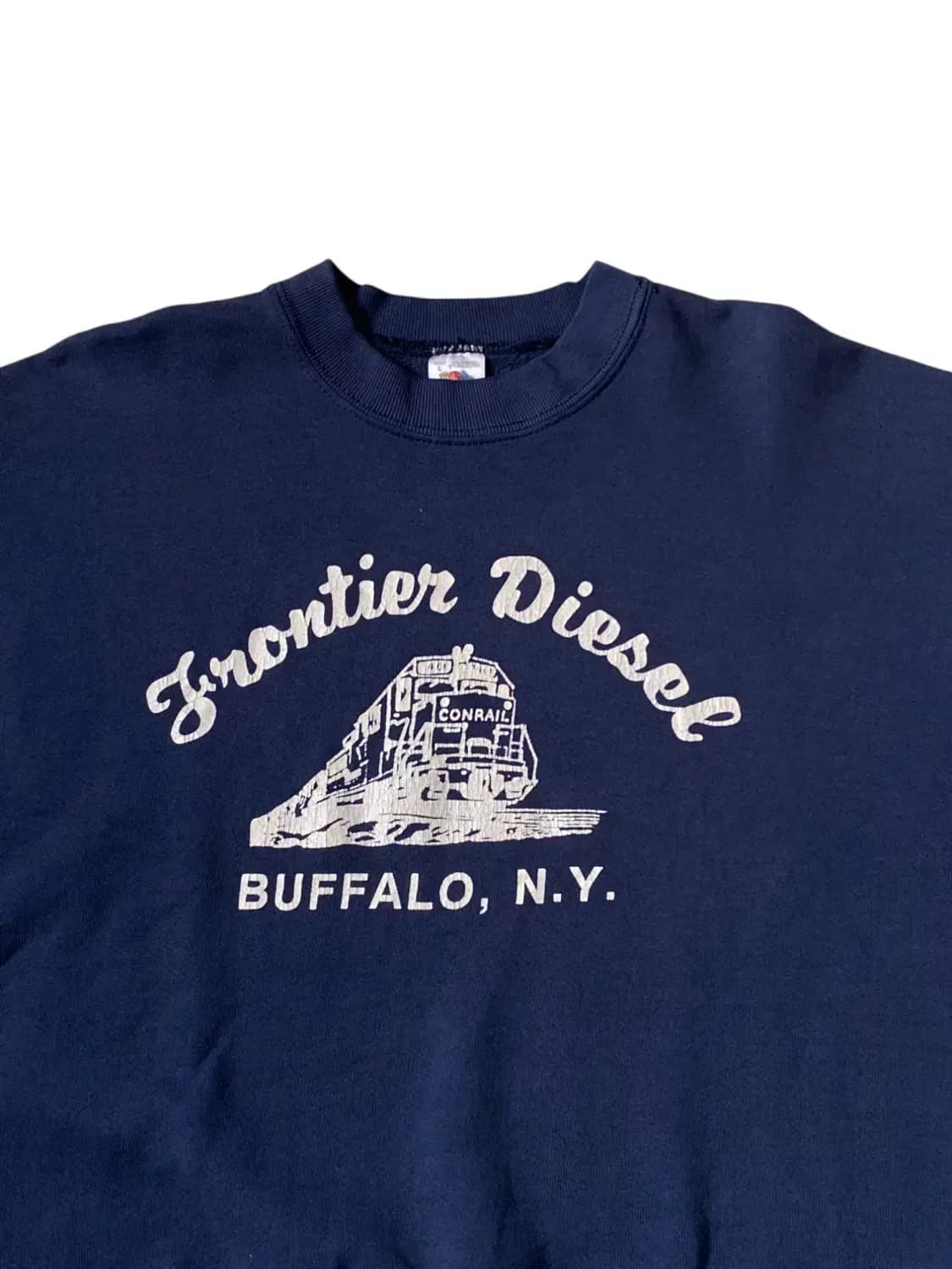 프루트 오브 더 룸 스웻셔츠 (Man L) AB0545 상품이미지3