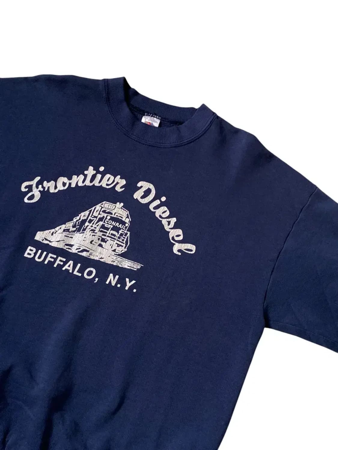 프루트 오브 더 룸 스웻셔츠 (Man L) AB0545 상품이미지4