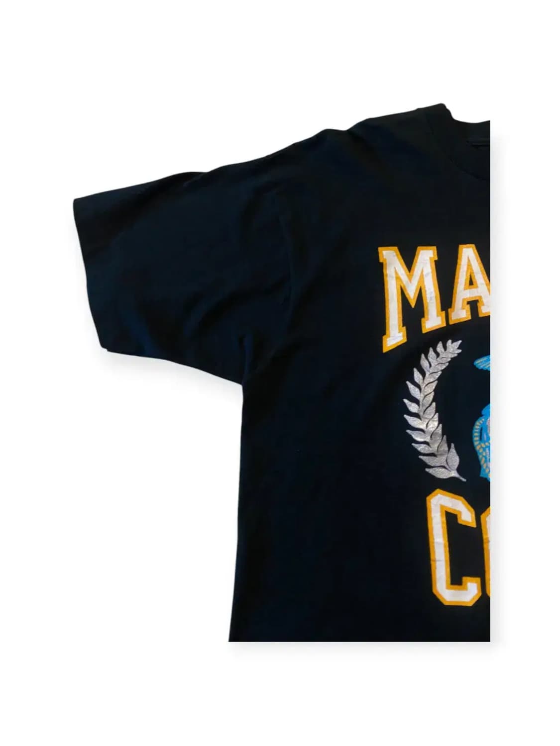 프룻오브더룸 반팔 티셔츠 Made in USA (Man XL) AA051 상품이미지6