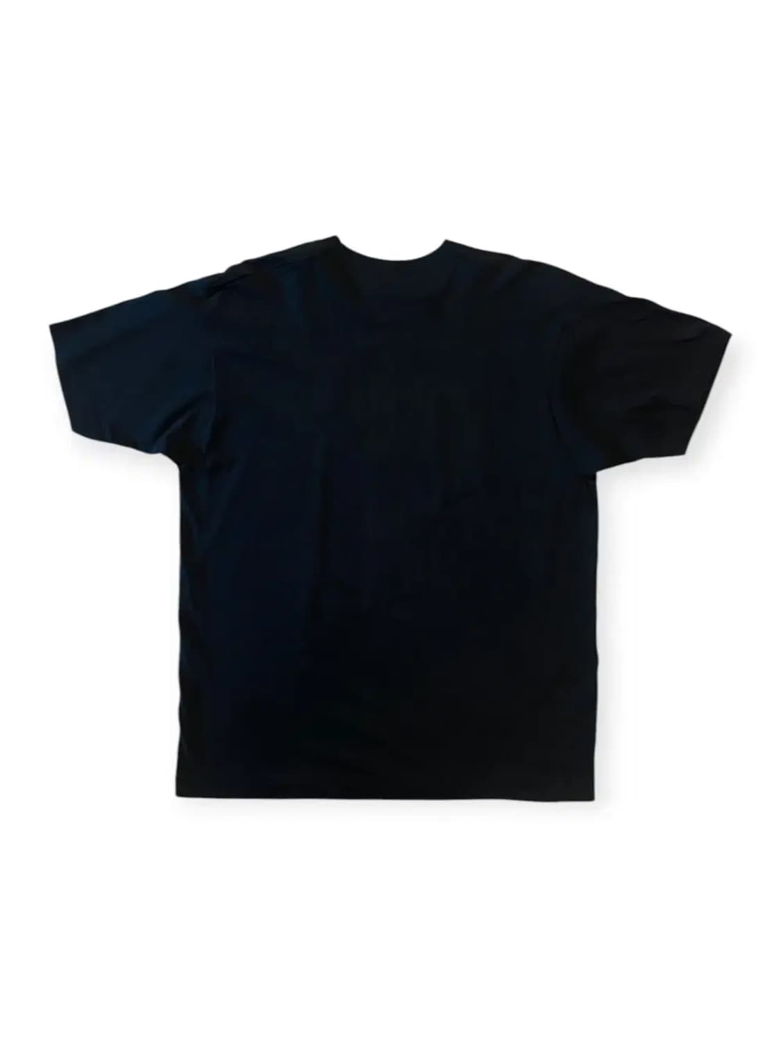 프룻오브더룸 반팔 티셔츠 Made in USA (Man XL) AA051 상품이미지9