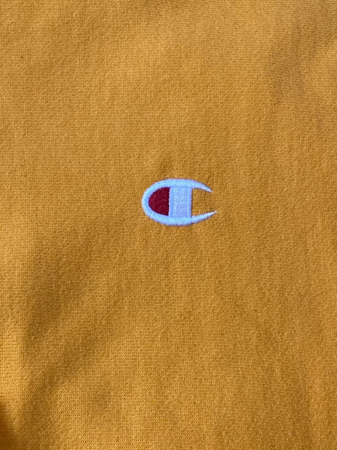 챔피온 맨투맨 (Man 2XL) AB0740 상품이미지9