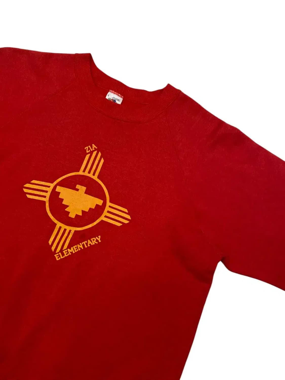 프루트 오브 더 룸 스웻셔츠 (Man M) AB0763 상품이미지3